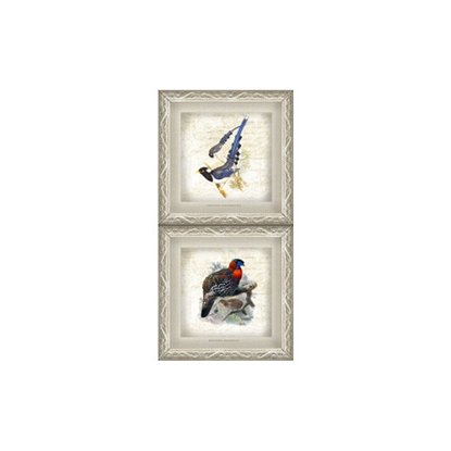 Декор Нефрит-Керамика Жардин птицы 4 50х25 см