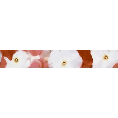 Бордюр Терракота Альба красные цветы 30х4,5см