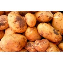 Картофель семенной Жуковский ранний СеДеК 2 кг