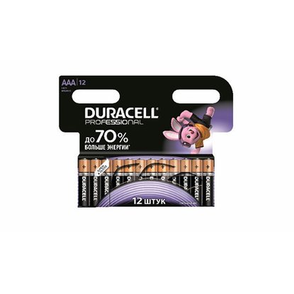 Батарейки щелочные Duracell Professional AAА 12 шт