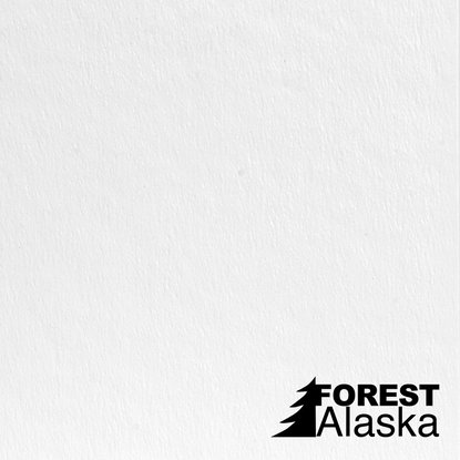 Панель потолочная ISOTEX Forest Alaska декоративная