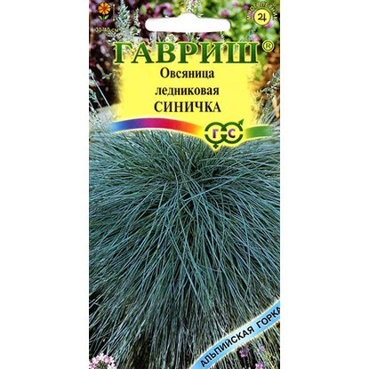 Овсяница ледниковая Синичка Гавриш