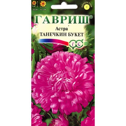 Гавриш цветок как выглядит Астра Танечкин букет воронежская кармин Гавриш по цене от 20 руб. в ОБИ каталоге