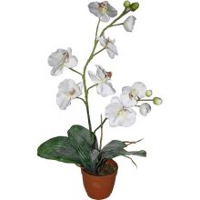 Растение искусственное Фаленопсис белый 80 см